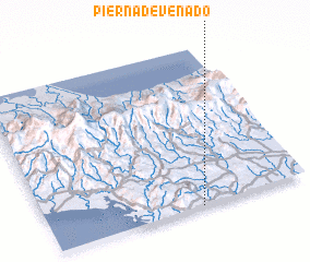 3d view of Pierna de Venado