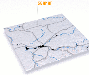 3d view of Seaman