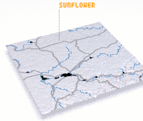 3d view of Sunflower