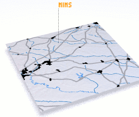 3d view of Mims