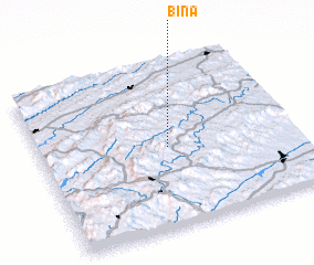 3d view of Bina