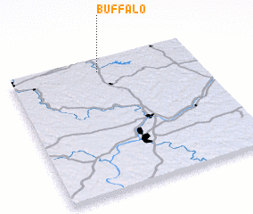 3d view of Buffalo