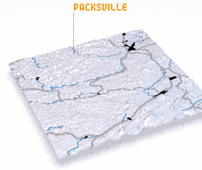 3d view of Packsville