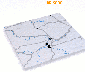 3d view of Briscoe