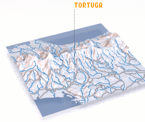 3d view of Tortuga