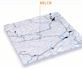 3d view of Welch
