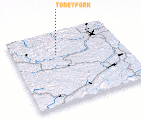 3d view of Toney Fork