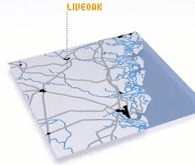 3d view of Live Oak