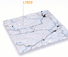 3d view of Lynco