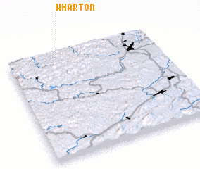 3d view of Wharton