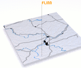 3d view of Flinn