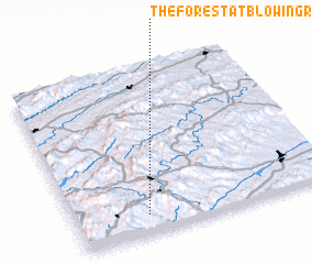 3d view of The Forest at Blowing Rock