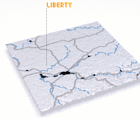 3d view of Liberty