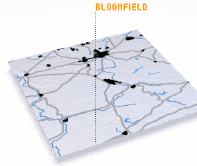 3d view of Bloomfield