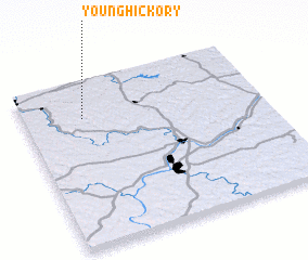 3d view of Young Hickory