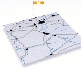 3d view of Bacon