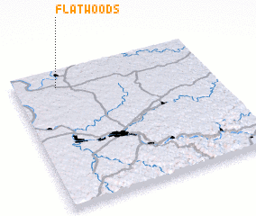 3d view of Flatwoods