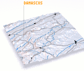 3d view of Damascus