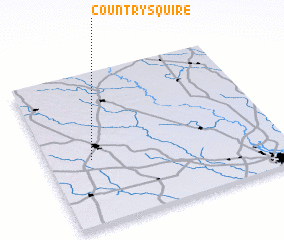 3d view of Country Squire