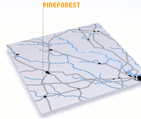 3d view of Pine Forest