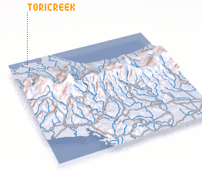 3d view of Tori Creek