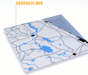 3d view of Georges Lake