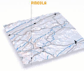 3d view of Pineola