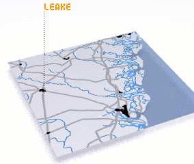 3d view of Leake