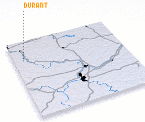 3d view of Durant