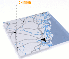 3d view of McKinnon