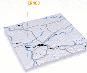 3d view of Cameo