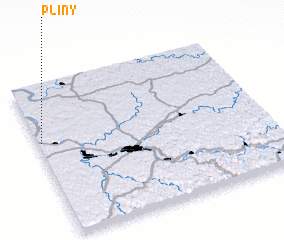 3d view of Pliny