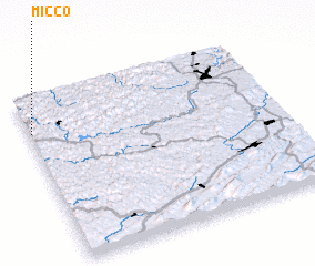 3d view of Micco