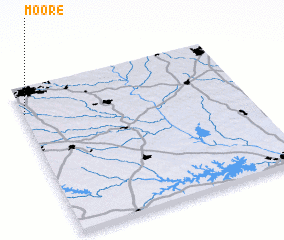 3d view of Moore