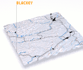 3d view of Blackey