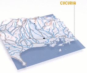 3d view of Cucuria