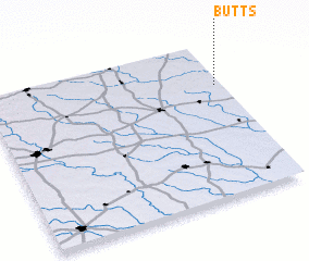 3d view of Butts