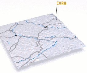 3d view of Cora