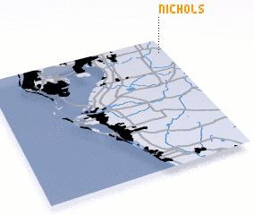 3d view of Nichols