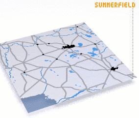 3d view of Summerfield