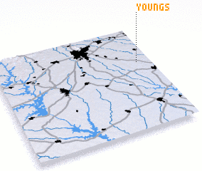 3d view of Youngs