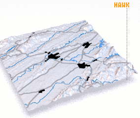 3d view of Hawk