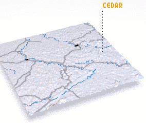 3d view of Cedar