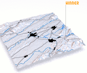 3d view of Winner