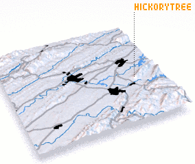 3d view of Hickory Tree