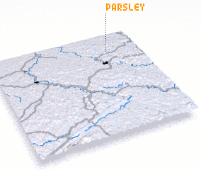 3d view of Parsley