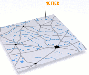 3d view of McTier
