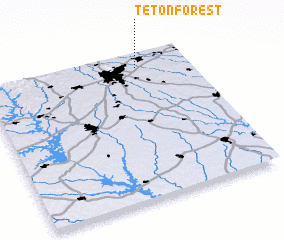 3d view of Teton Forest