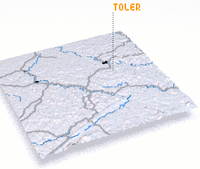 3d view of Toler