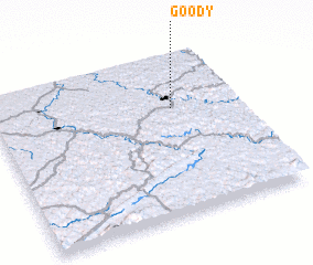 3d view of Goody